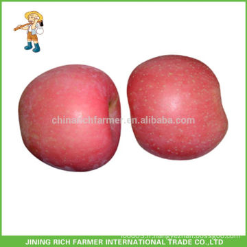 Formes conventionnelles Pomme fraîche chinoise Grade A Red delicious Delicious Fuji Apple